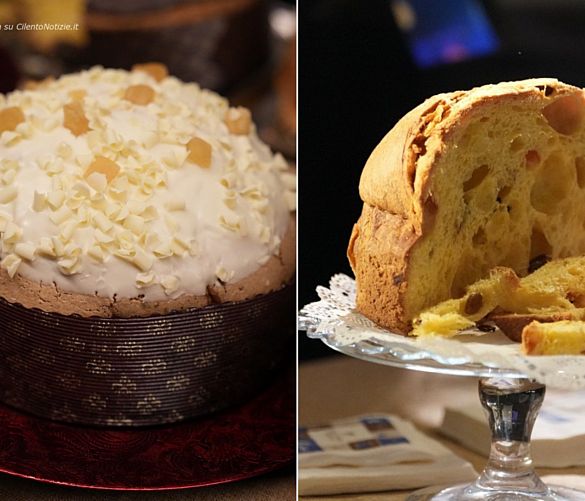 21112025 panettone d artista salerno