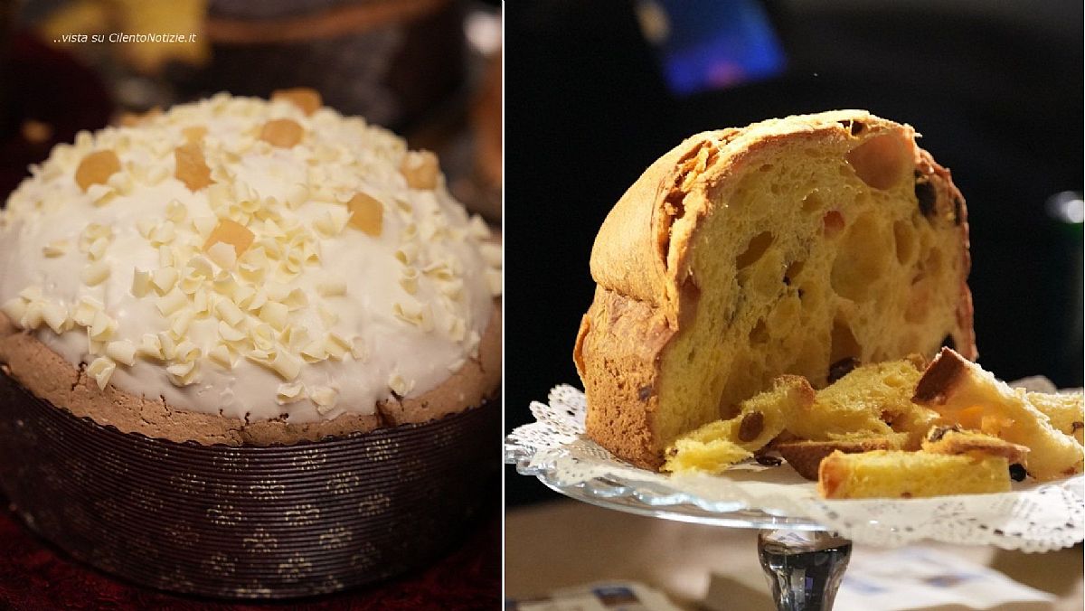 21112025 panettone d artista salerno