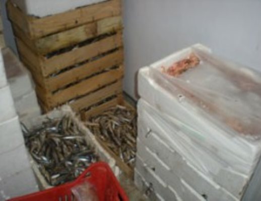 21122012 prodotti ittici sequestro