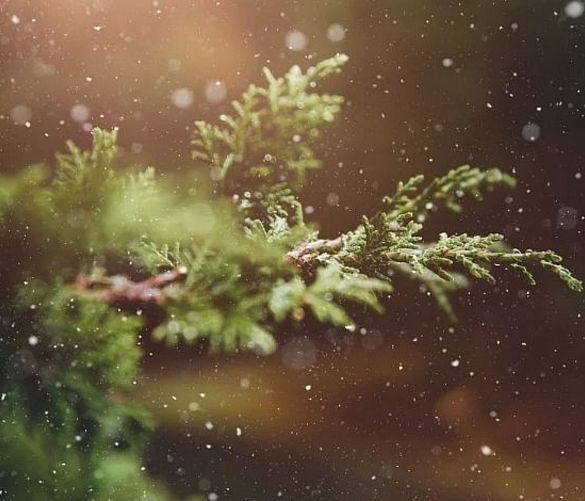21122020 aria di neve natale e capodanno meteo
