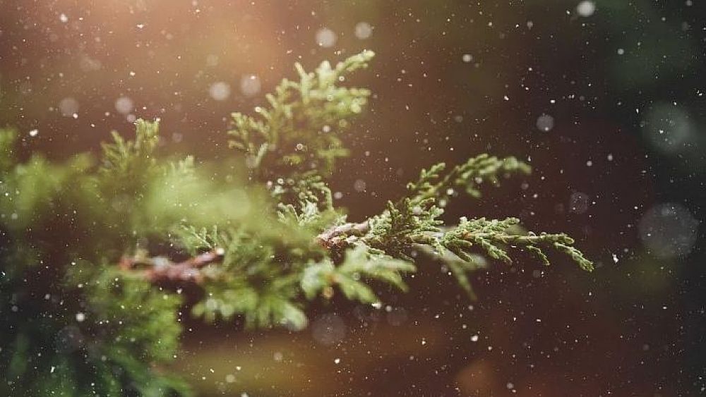 21122020 aria di neve natale e capodanno meteo