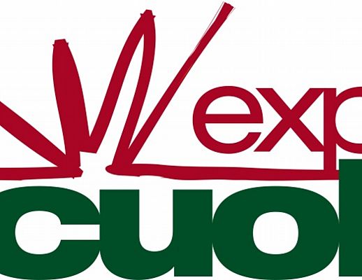 22012014 logo EXPO SCUOLA