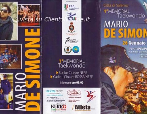 22012014 taekwondo de simone
