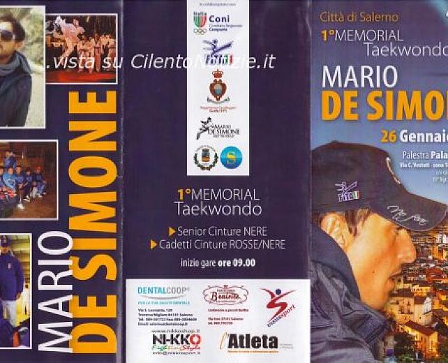 22012014 taekwondo de simone