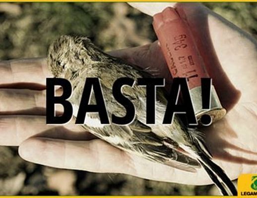 Paolo-Abbate foto - 22012015 legambiente caccia