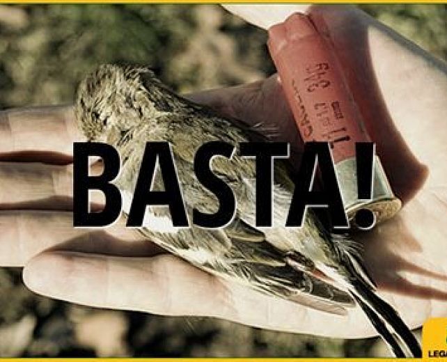 22012015 legambiente caccia