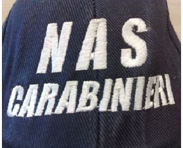 22012015 nas carabinieri