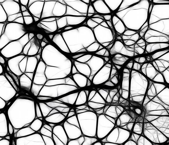 Giuseppe-Lembo foto - 22012018 cervello neuroni