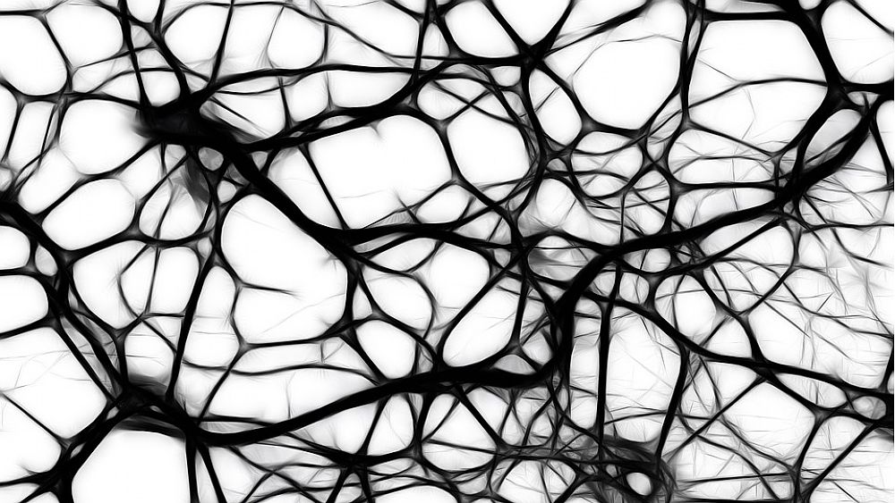 22012018 cervello neuroni 22012018 cervello neuroni