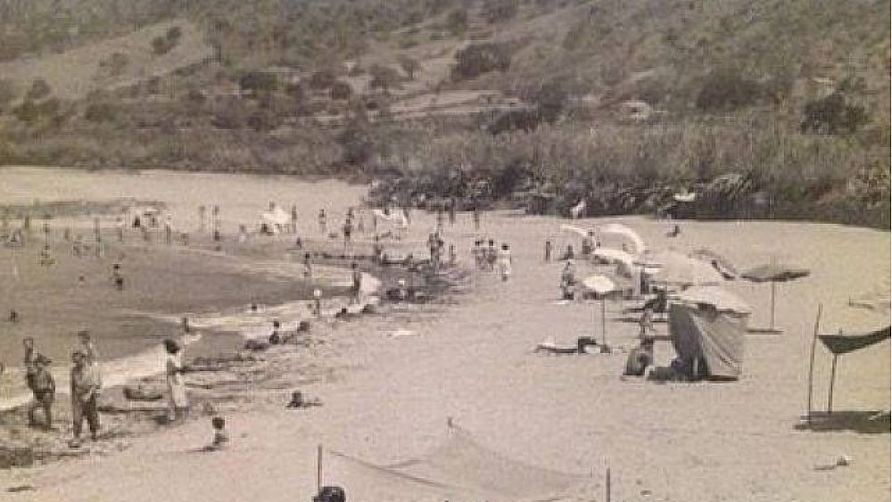 22012018 marina diCamerota 22012018 marina diCamerota