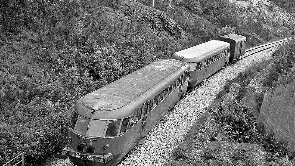 22022021 0395 39 copia 22022021 0395 39 copia