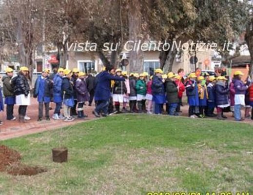 Paolo-Abbate foto - 22032013 neonato albero