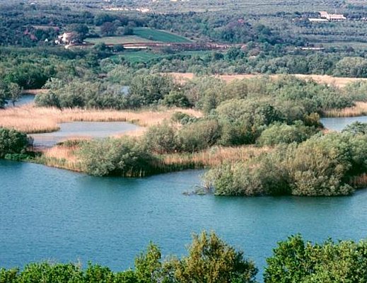 22042013 Oasi WWF Persano