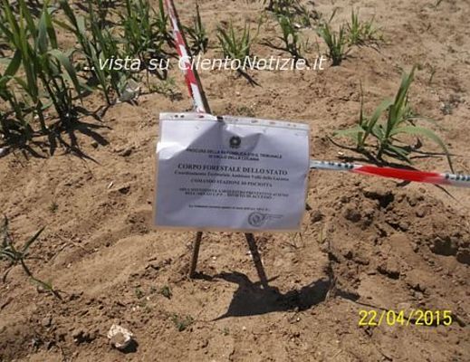 22042015 sequestro palinuro