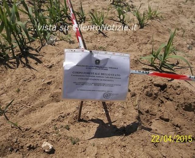 22042015 sequestro palinuro