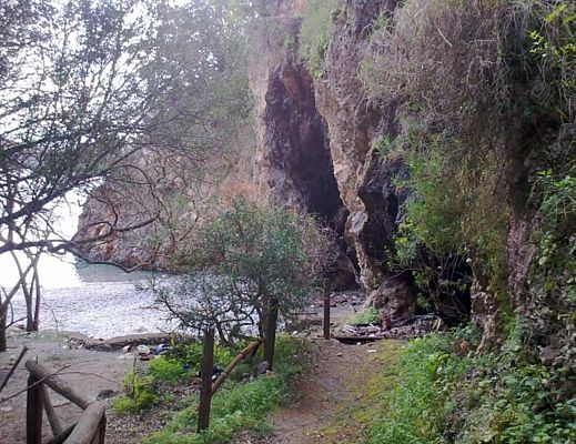 22052015 camerota infreschi