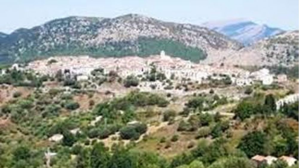 22052017 art abbate 01 22052017 art abbate 01