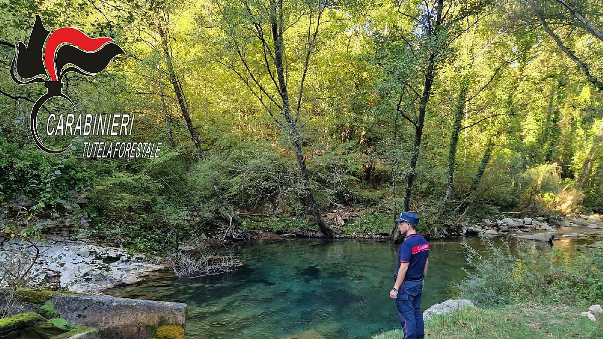 22052024 parc10 22052024 parc10