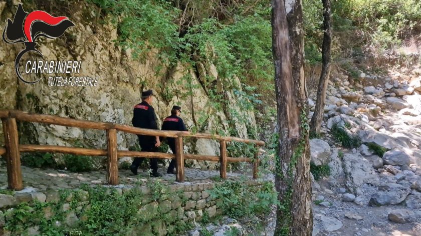 carabinieri forestali parco cilento