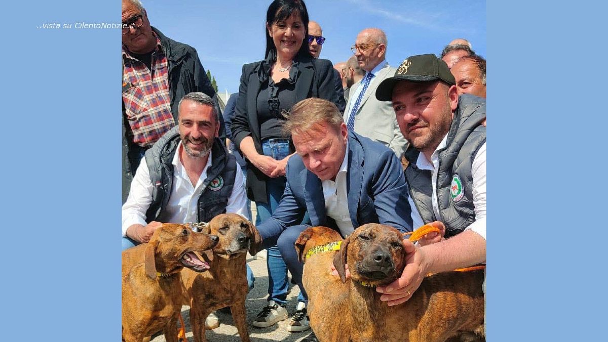 22052025 palmieri segugi 22052025 palmieri segugi