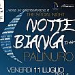 Palinuro Notizie foto - 22062014 notte bianca a palinuro