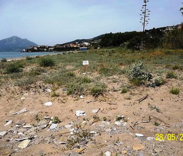 22062016 duna cilento