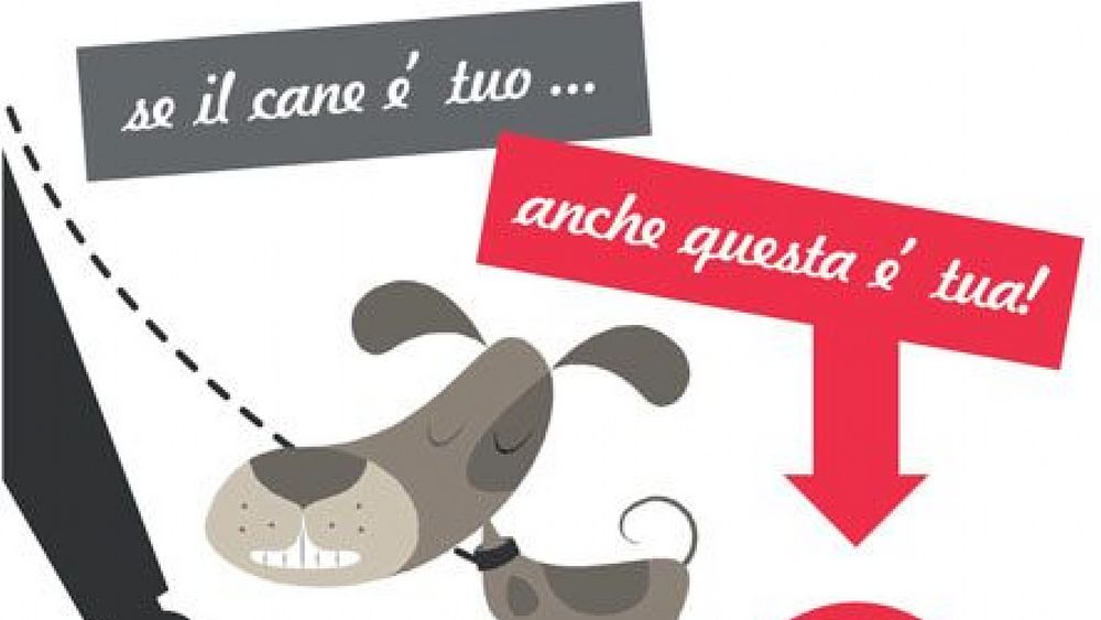 22062018 293 22062018 293