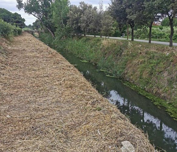 22062020 bonifica e pulizia canali