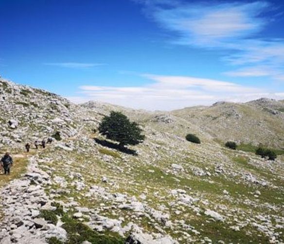 22062021 monti cilento