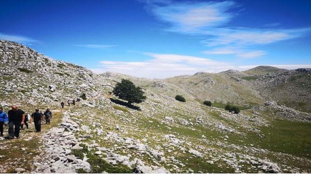 22062021 monti cilento