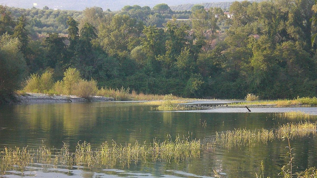 22062024 oasi persano wwf 22062024 oasi persano wwf