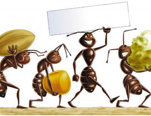 Vincenzo-Malzone foto - 22072014 formiche per la casa