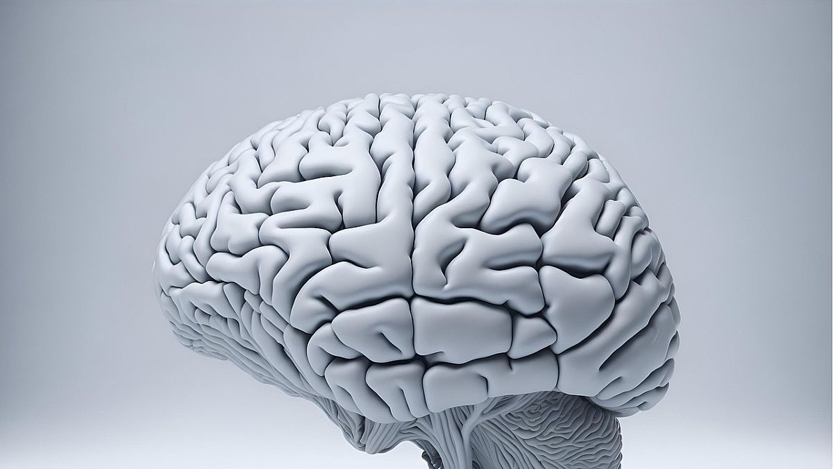 22072025 cervello 22072025 cervello