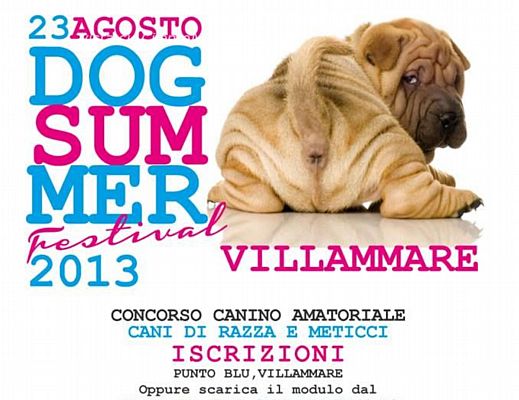 22082013 Dog Summer Festival