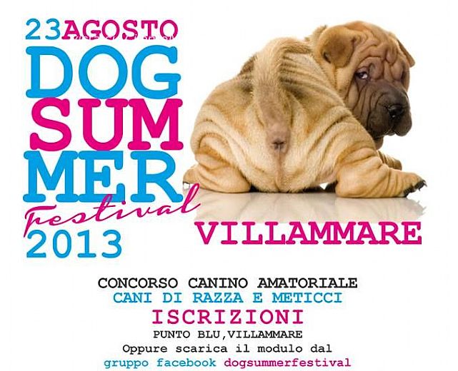 22082013 Dog Summer Festival