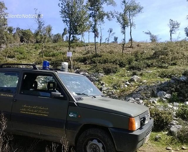 22092014 auto forestale