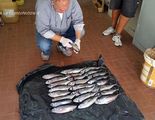 22092015 pesca illegale tonno rosso