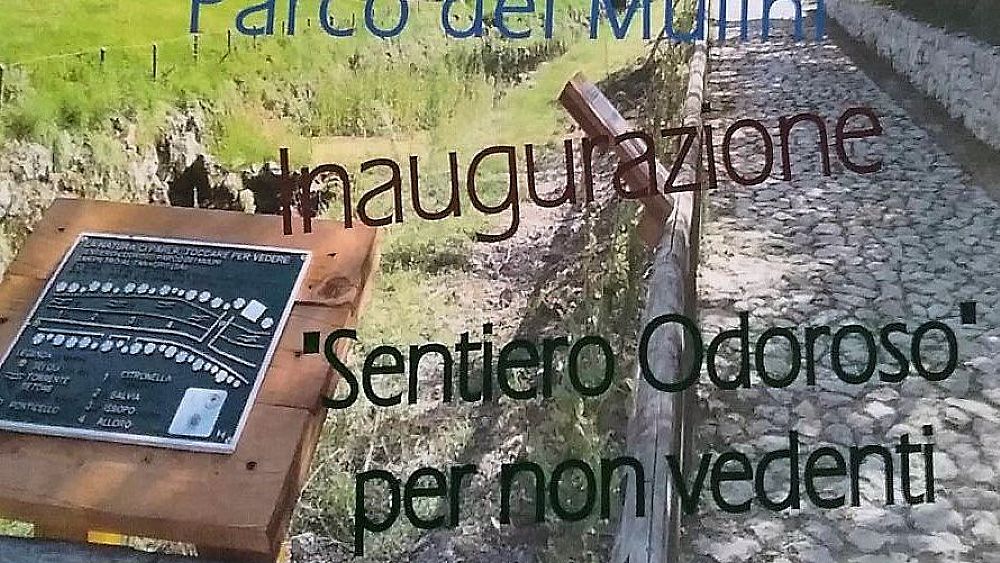 22092016 sentiero odoroso