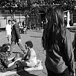 Spettacoli-eventi foto - 22092017 FED 1543 copia