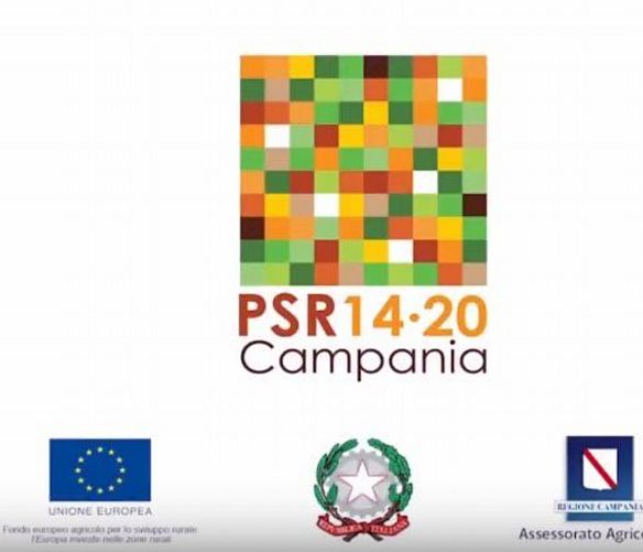 22092017 psr campania