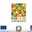 Economia foto - 22092017 psr campania