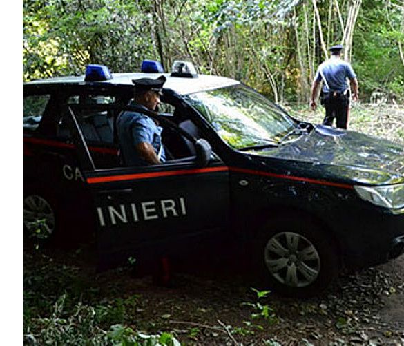 22092019 Carabinieri bosco ricerche 01