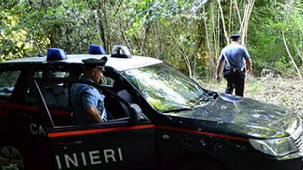 22092019 Carabinieri bosco ricerche 01