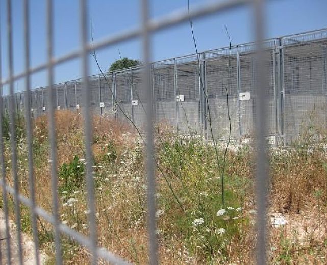 22102013 canile di torre orsaia