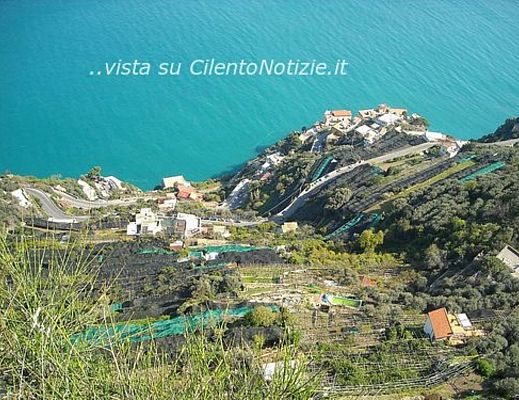 22102014 ravello agricolutra terrazzamenti