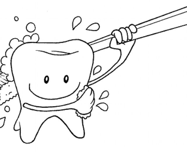 22112013 disegno denti