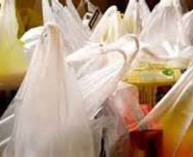 22112014 sacchetti di plastica