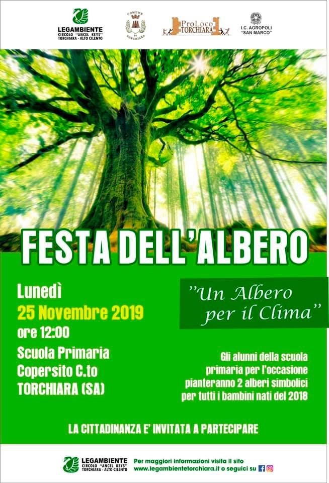 festa torchiara albero