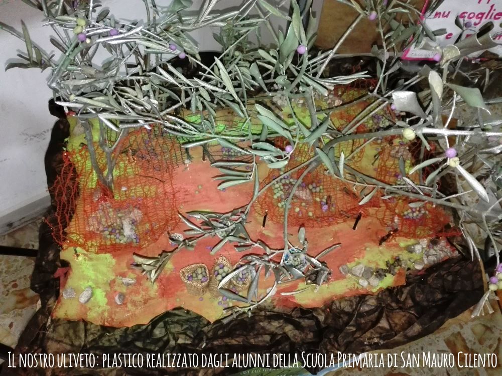 uliveto scuola primaria