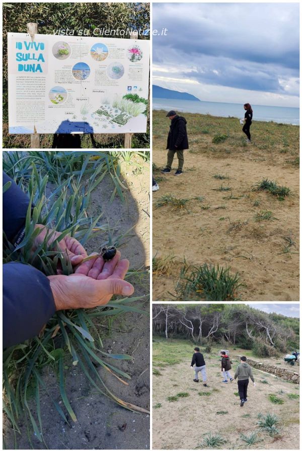 progetto giglio d amare